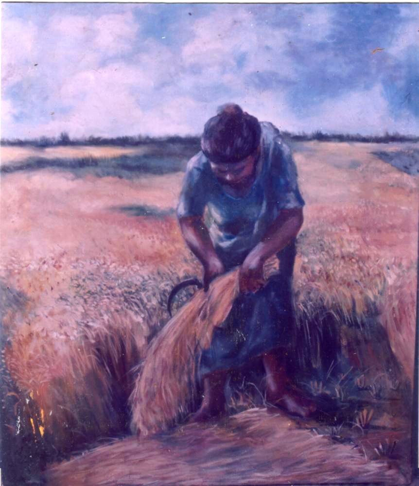  Title : Harvesting   |    Medium : Oil on Canvas  |   Size 30" X 36"